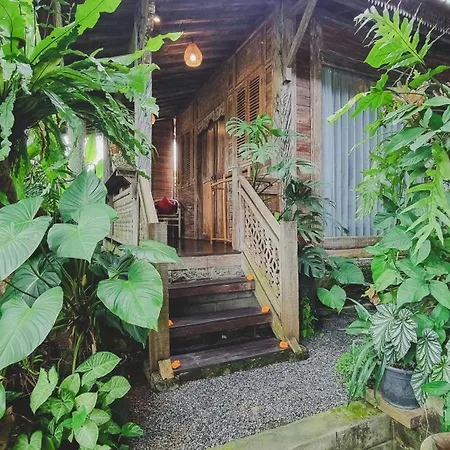 Aura Guesthouse