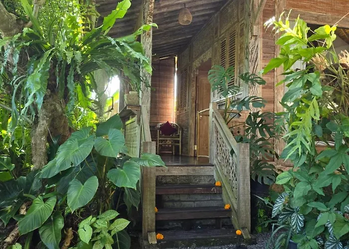 Aura Bed & Breakfast Ubud