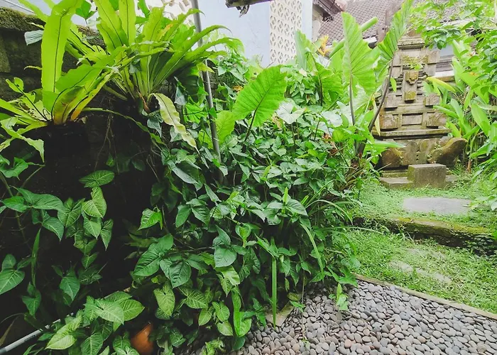 Aura Bed & Breakfast Ubud