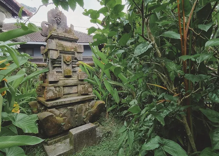 Aura Ubud