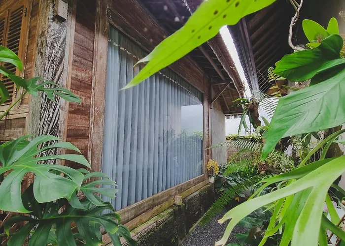 Aura 3* Ubud